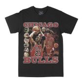 Chicago Bulls Champions Graphic Tee, Basketball T-shirt, Sport T-shirt