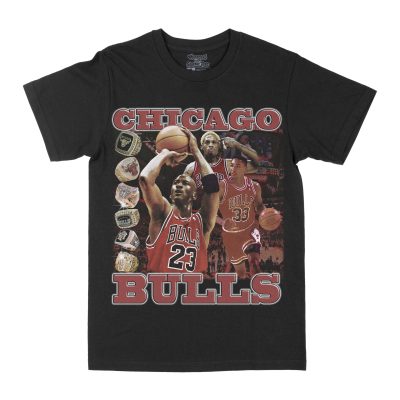 Chicago Bulls Champions Graphic Tee, Basketball T-shirt, Sport T-shirt