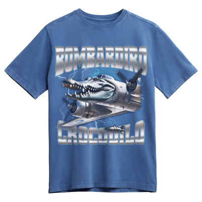 Bombardiro Crocodilo Memes T-shirt, Brainrot Memes T-shirt